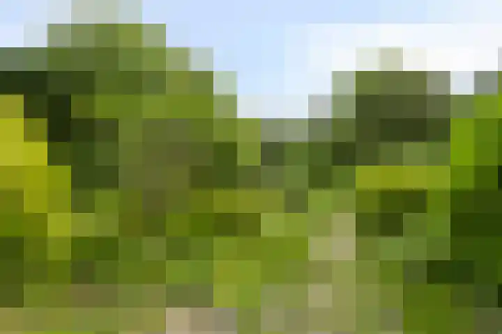 Liergouw 30 Amsterdam thumbnail 30