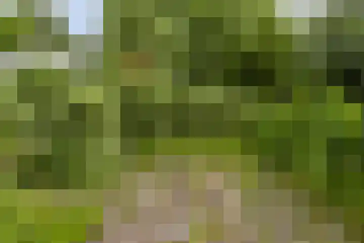 Liergouw 30 Amsterdam thumbnail 31