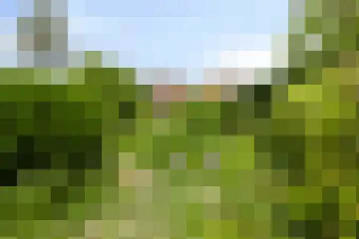 Liergouw 30 Amsterdam thumbnail 32