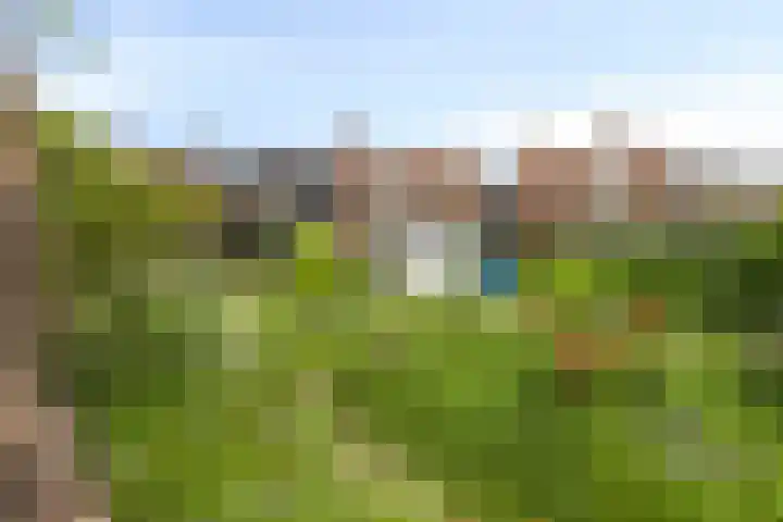 Liergouw 30 Amsterdam thumbnail 33