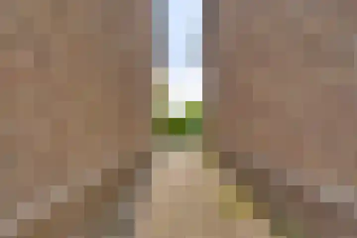Liergouw 30 Amsterdam thumbnail 34