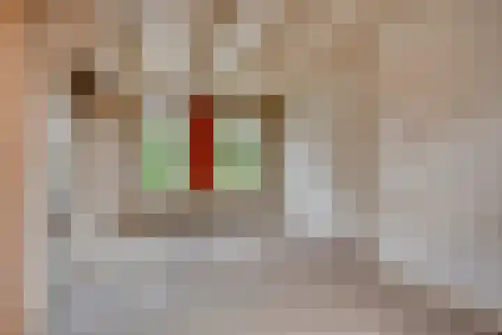 Liergouw 30 Amsterdam thumbnail 5