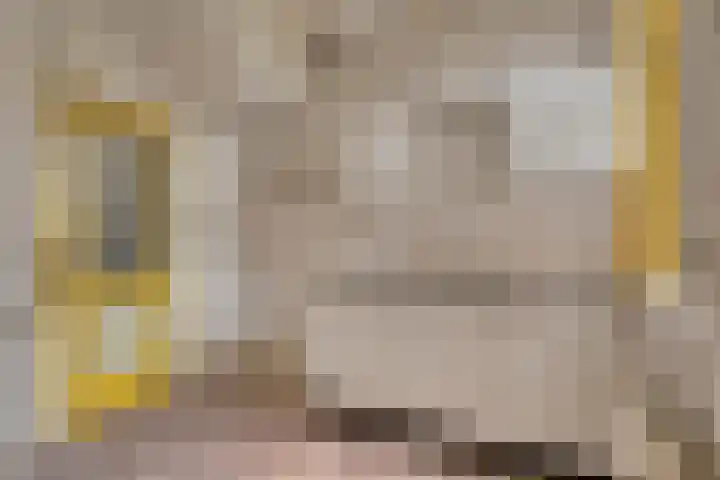 Liergouw 30 Amsterdam thumbnail 8