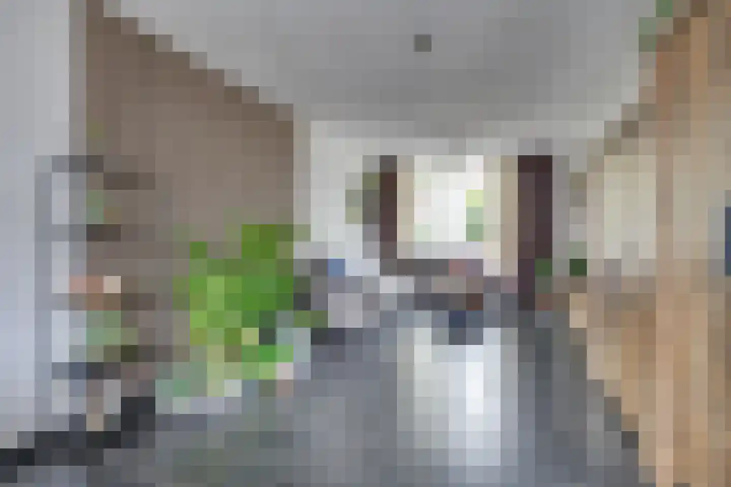 Lierstraat 14 Eindhoven thumbnail 17