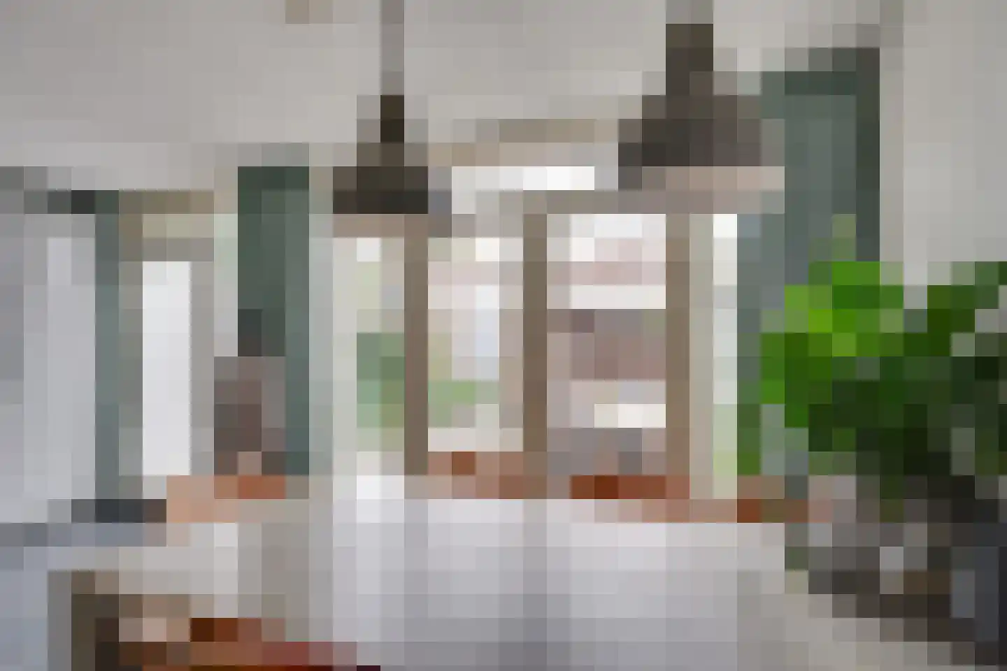 Lierstraat 14 Eindhoven thumbnail 20