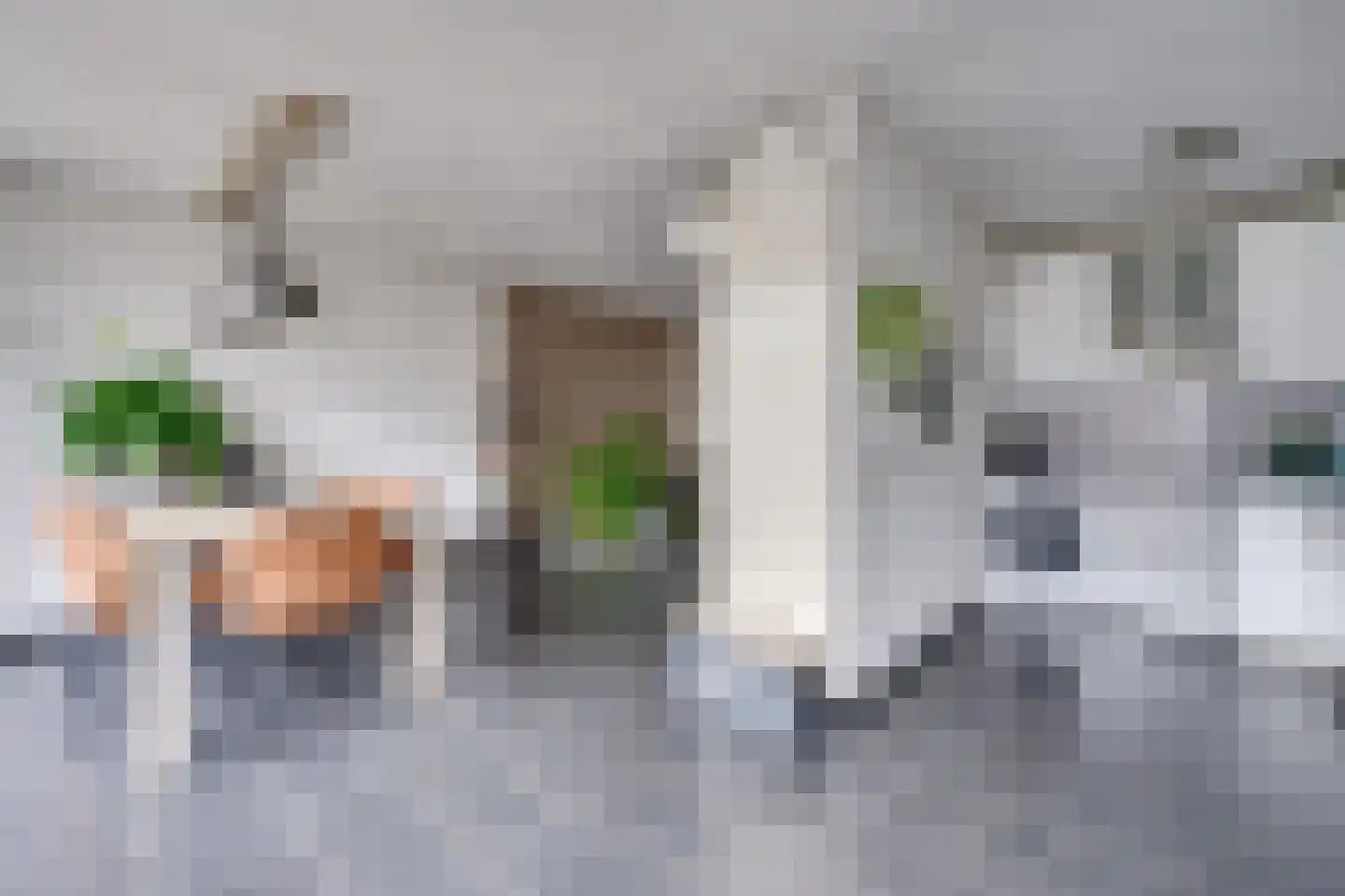 Lierstraat 14 Eindhoven thumbnail 23