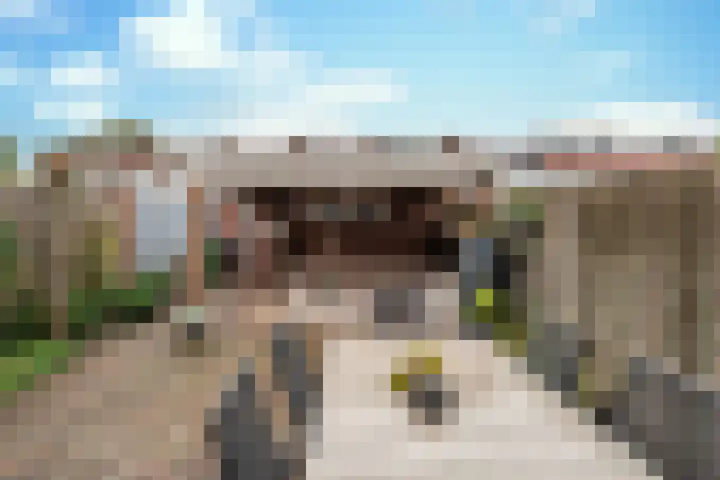 Lierstraat 14 Eindhoven thumbnail 38