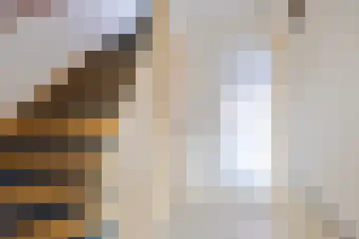 Lierstraat 3 Eindhoven thumbnail 12