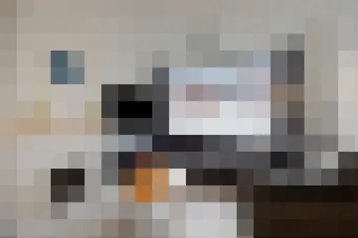 Lierstraat 3 Eindhoven thumbnail 15