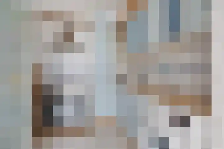 Lierstraat 3 Eindhoven thumbnail 21