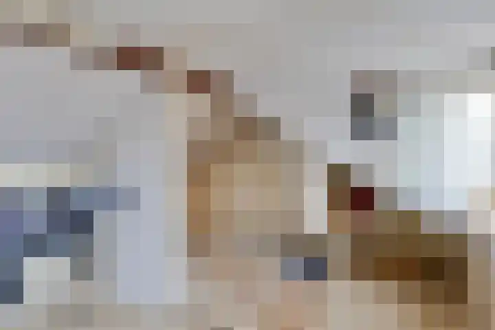 Lierstraat 3 Eindhoven thumbnail 34
