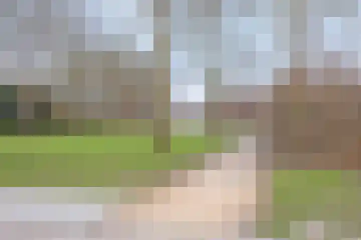 Lierstraat 3 Eindhoven thumbnail 44