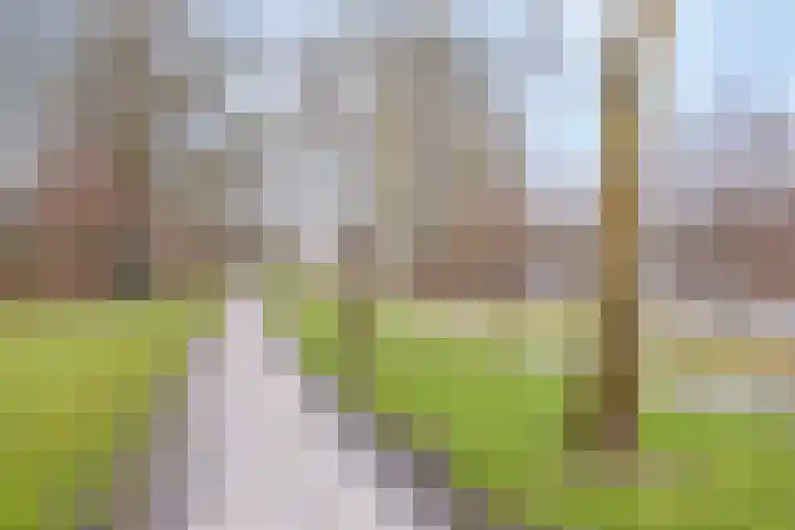 Lierstraat 3 Eindhoven thumbnail 45