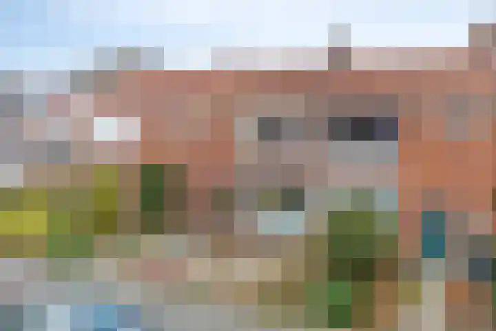 Lierstraat 3 Eindhoven thumbnail 8