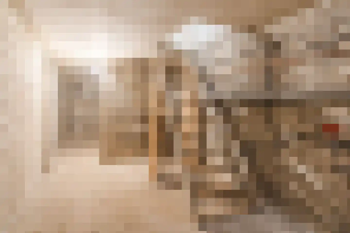 Lierstraat 39 Nijmegen thumbnail 35