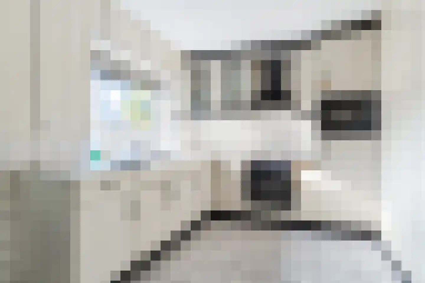 Lierstraat 39 Nijmegen thumbnail 9