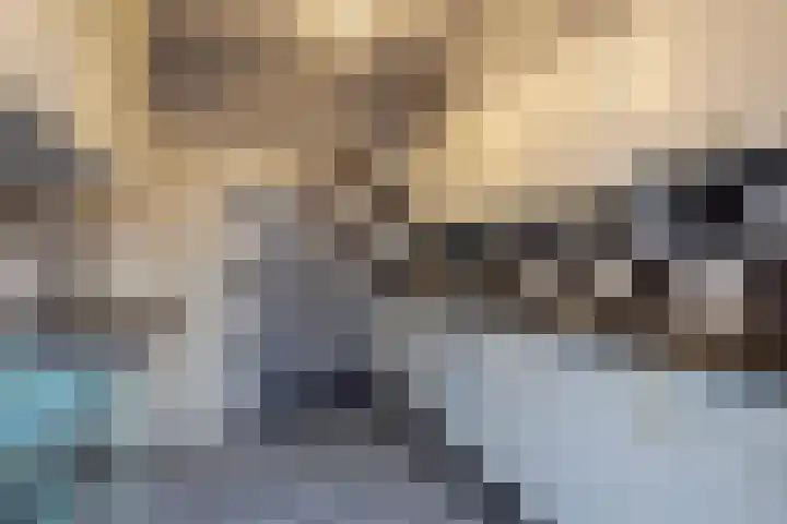 Lierstraat 4 Nijmegen thumbnail 19