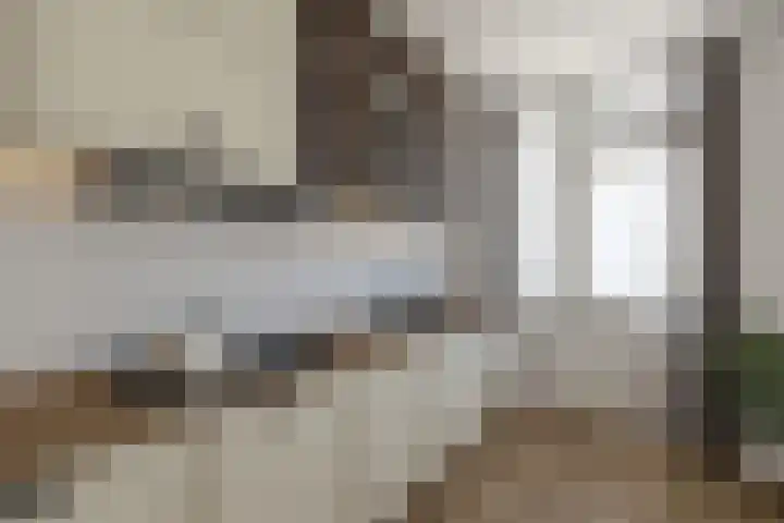 Lierstraat 4 Nijmegen thumbnail 25