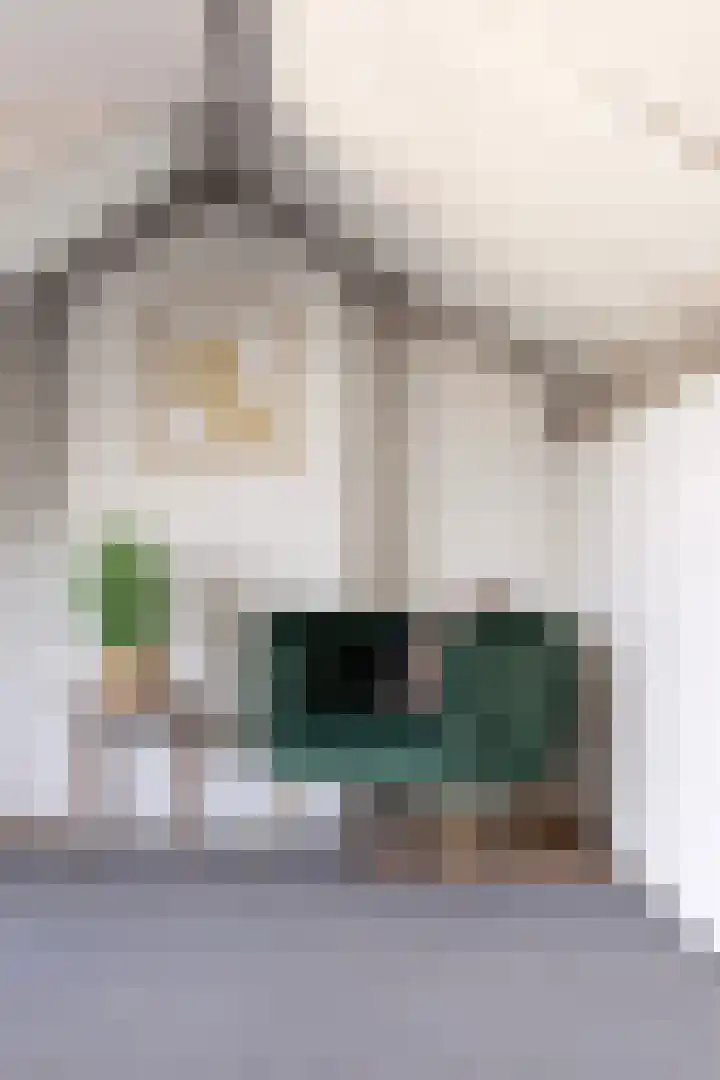 Lierstraat 4 Nijmegen thumbnail 43