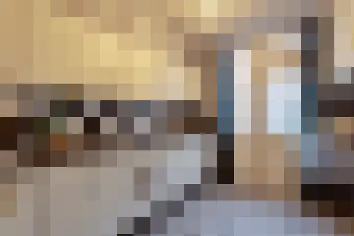 Lierstraat 4 Nijmegen thumbnail 5