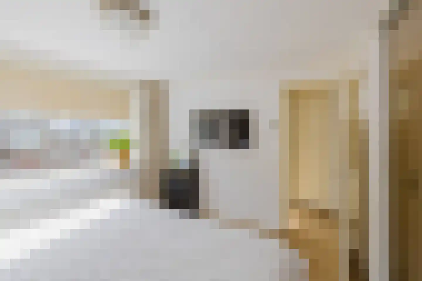 Lierstraat 61 IJmuiden thumbnail 33