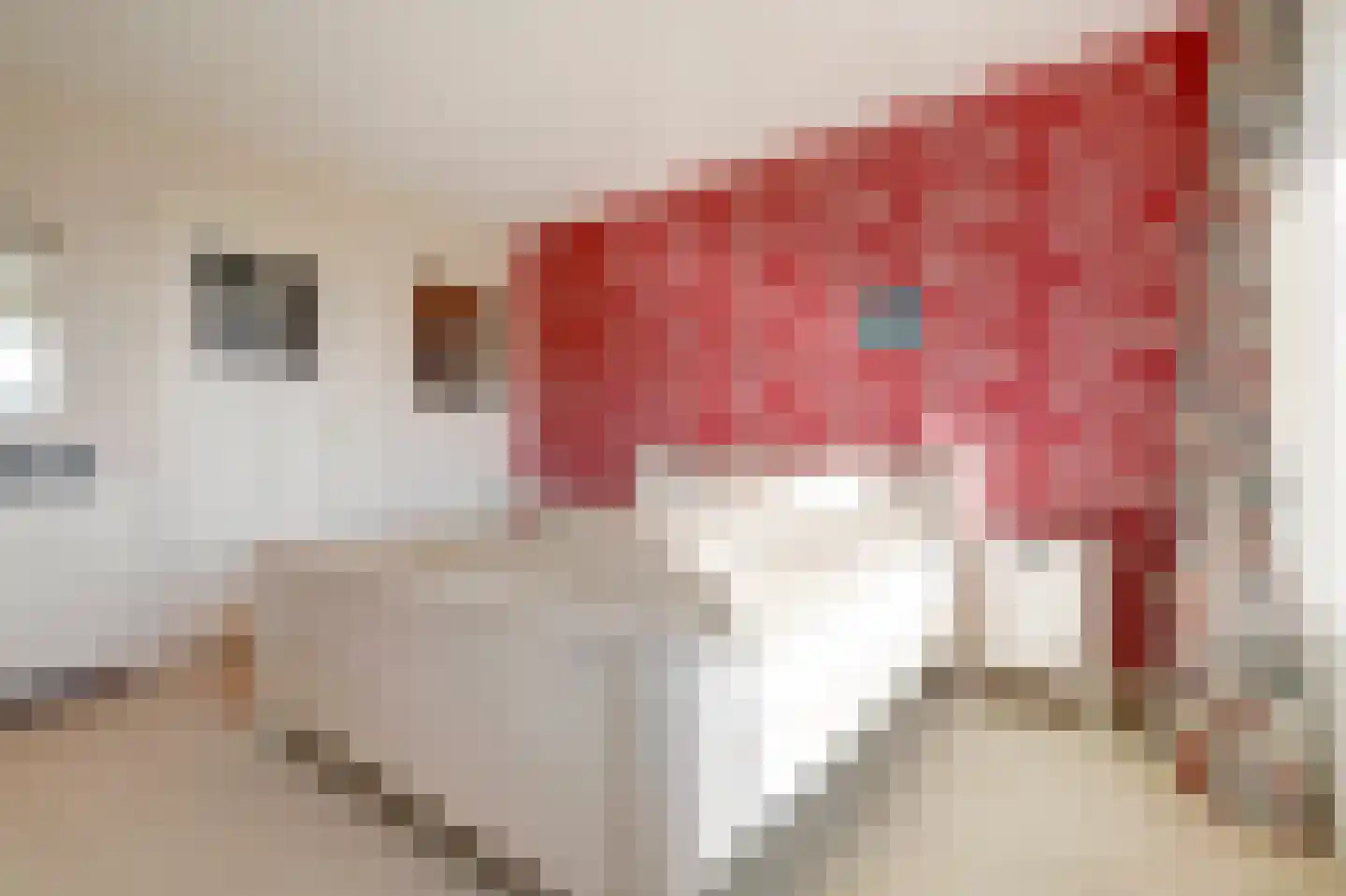 Lierweg 44 De Lier thumbnail 21