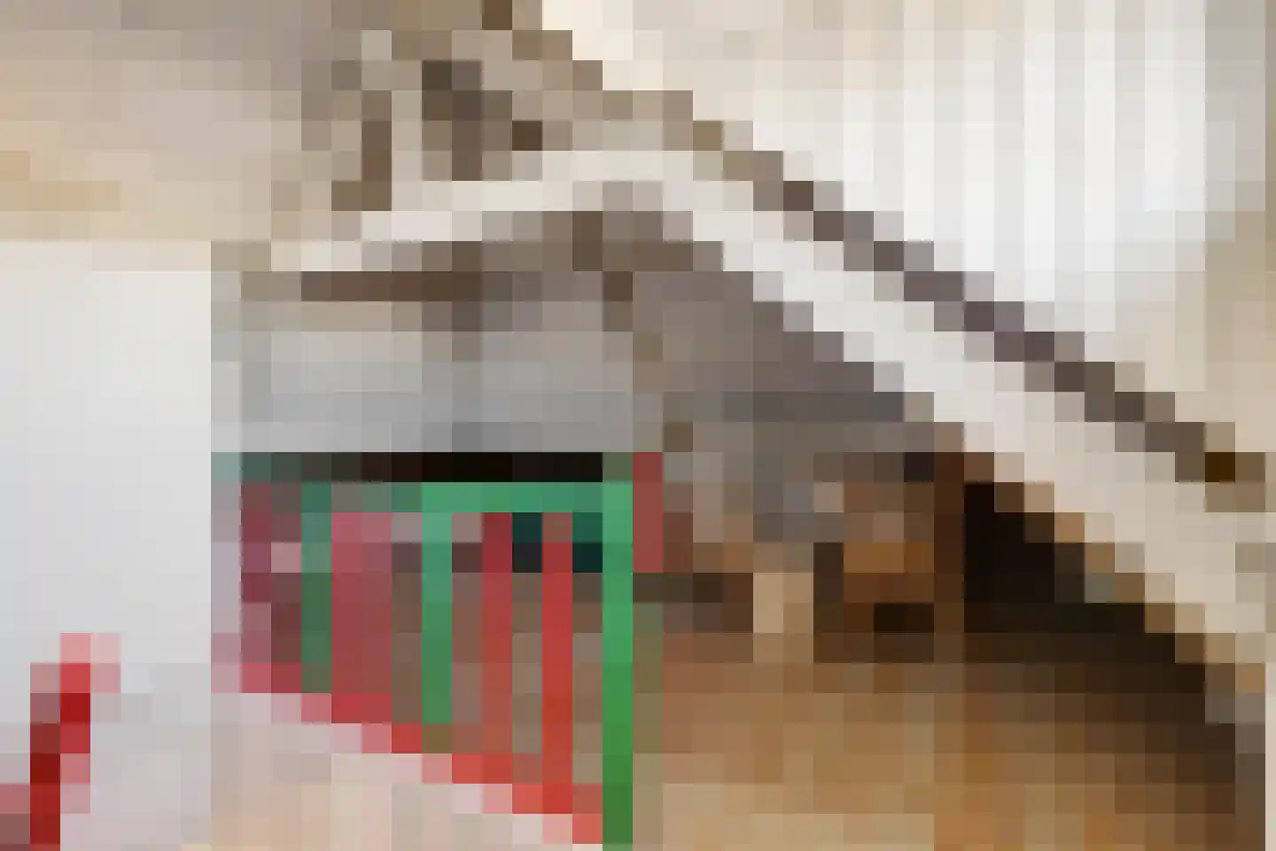 Lierweg 44 De Lier thumbnail 30