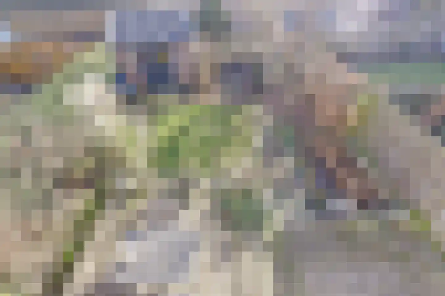 Lierweg 44 De Lier thumbnail 36