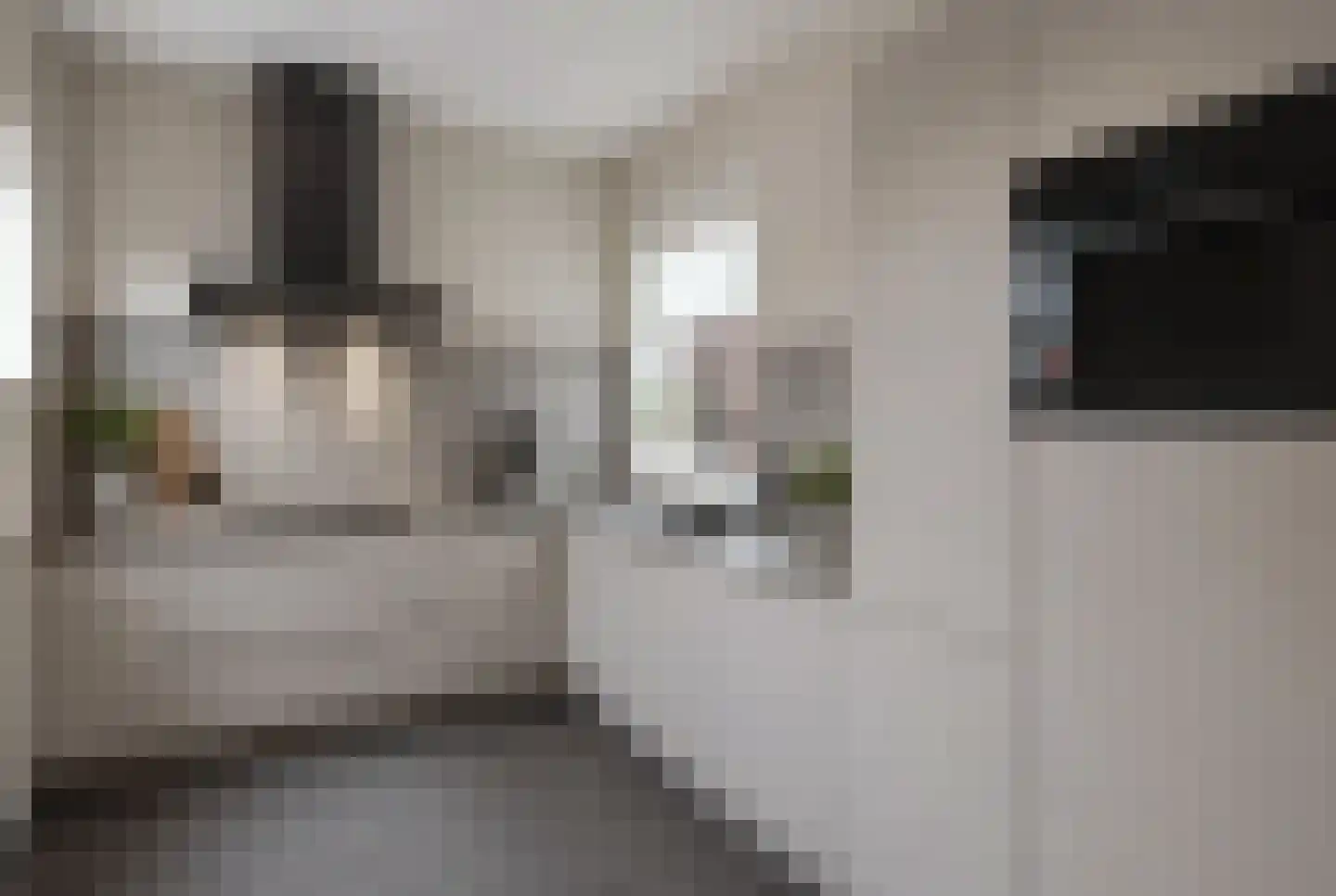 Lierweg 44 De Lier thumbnail 5