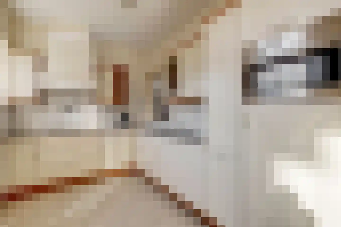 Lierweg 44 De Lier thumbnail 5