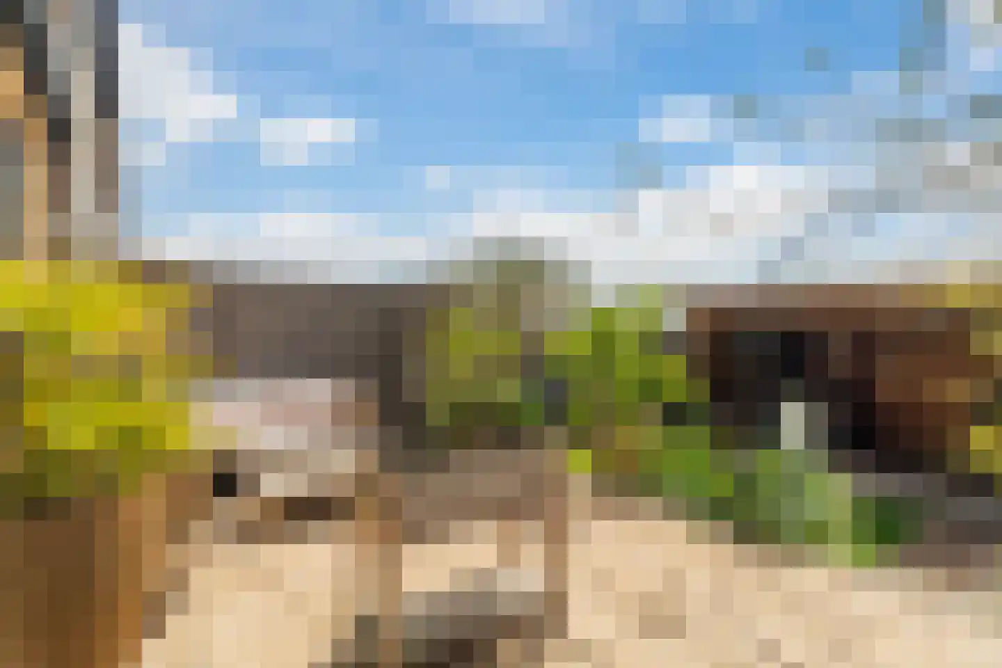 Lierweg 48 B De Lier thumbnail 21