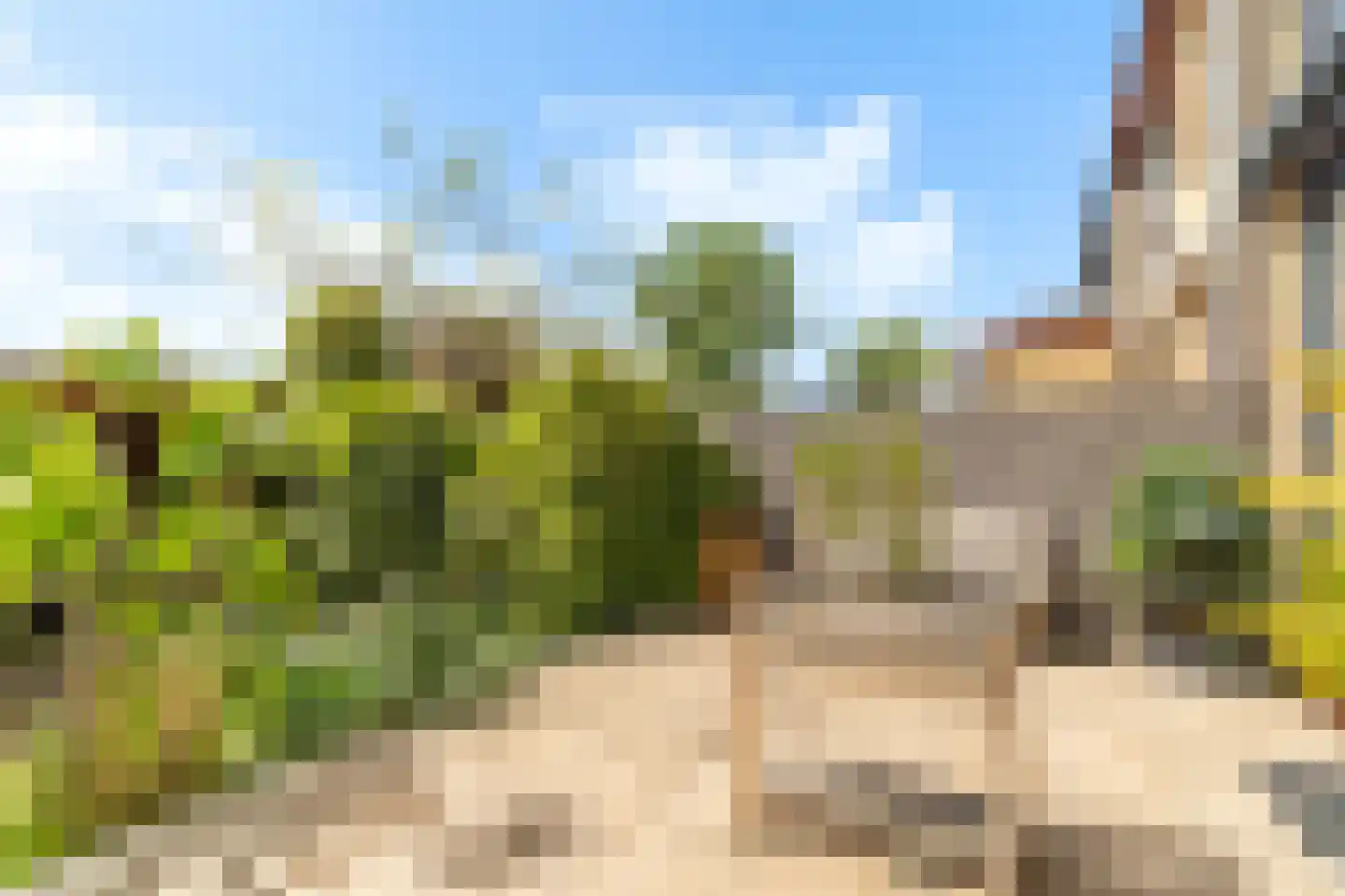 Lierweg 48 B De Lier thumbnail 23