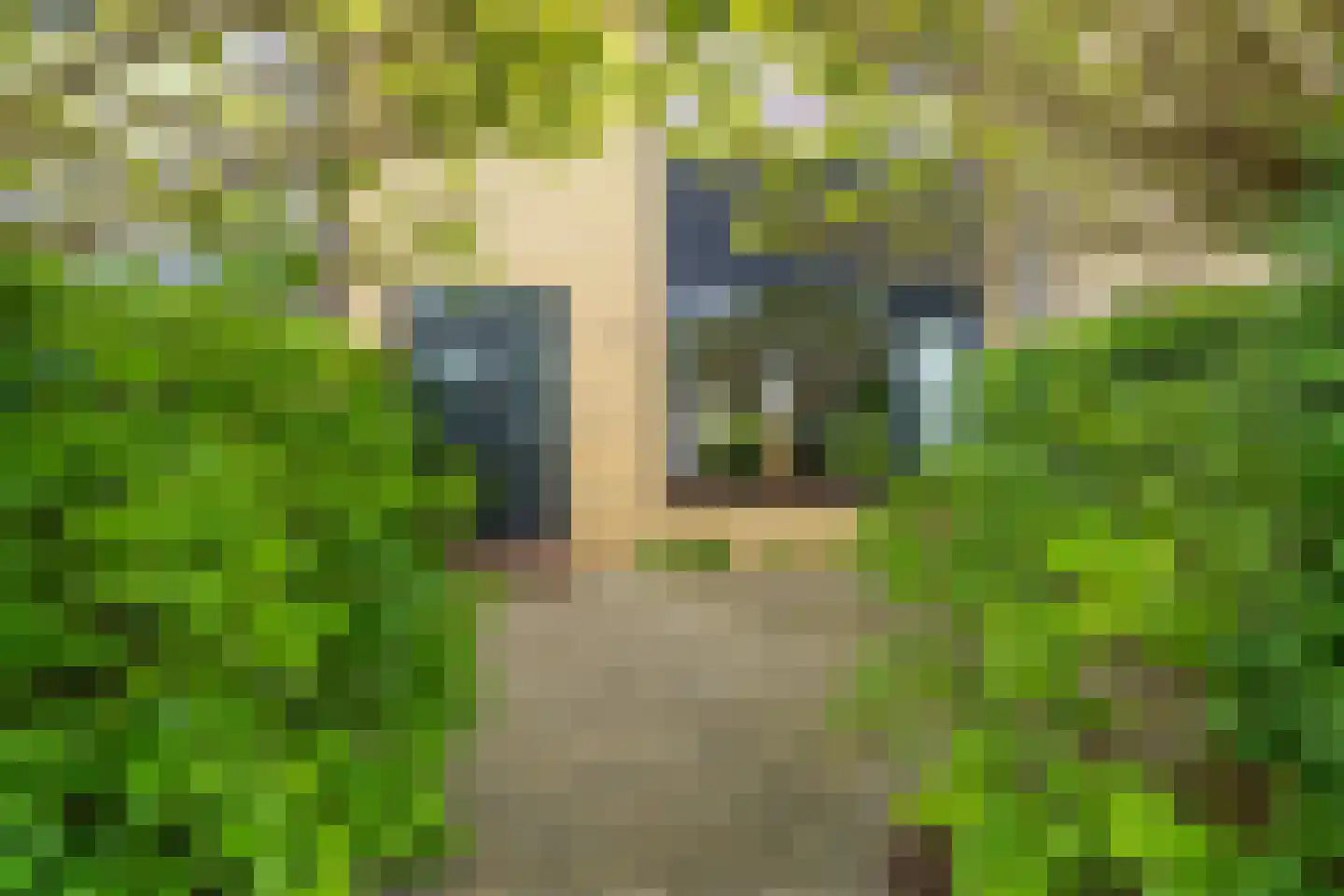 Lierweg 48 B De Lier thumbnail 7