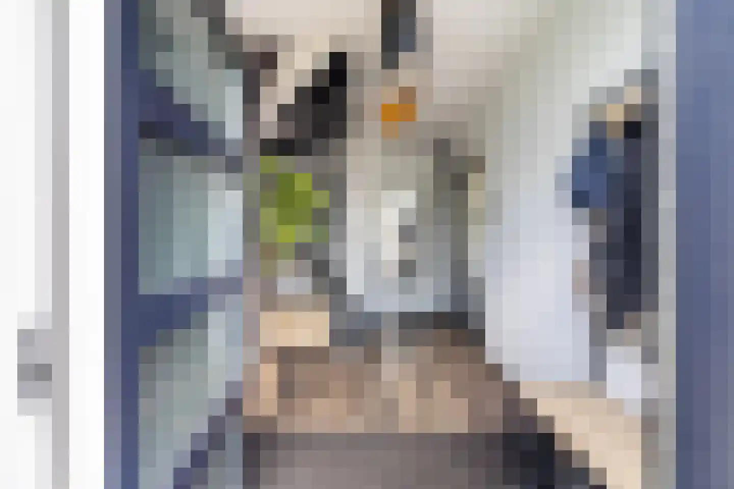 Lierweg 48 B De Lier thumbnail 8
