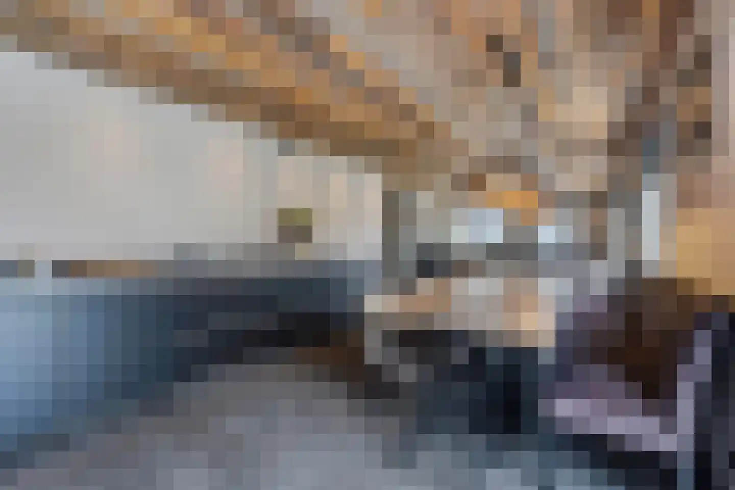 Lierweg 56 De Lier thumbnail 11