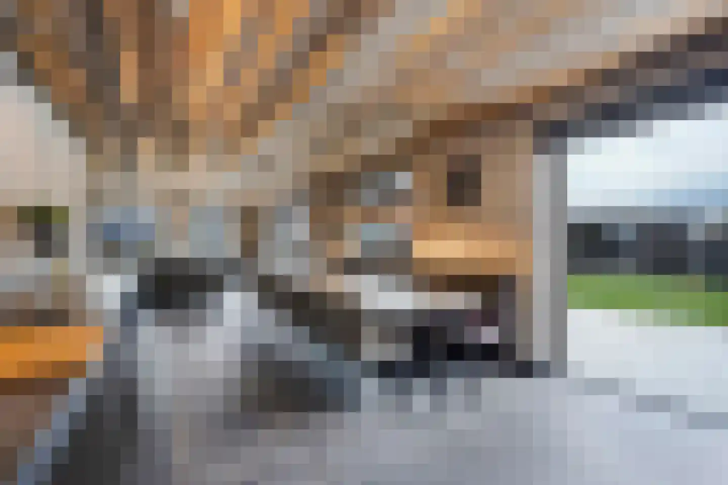 Lierweg 56 De Lier thumbnail 12