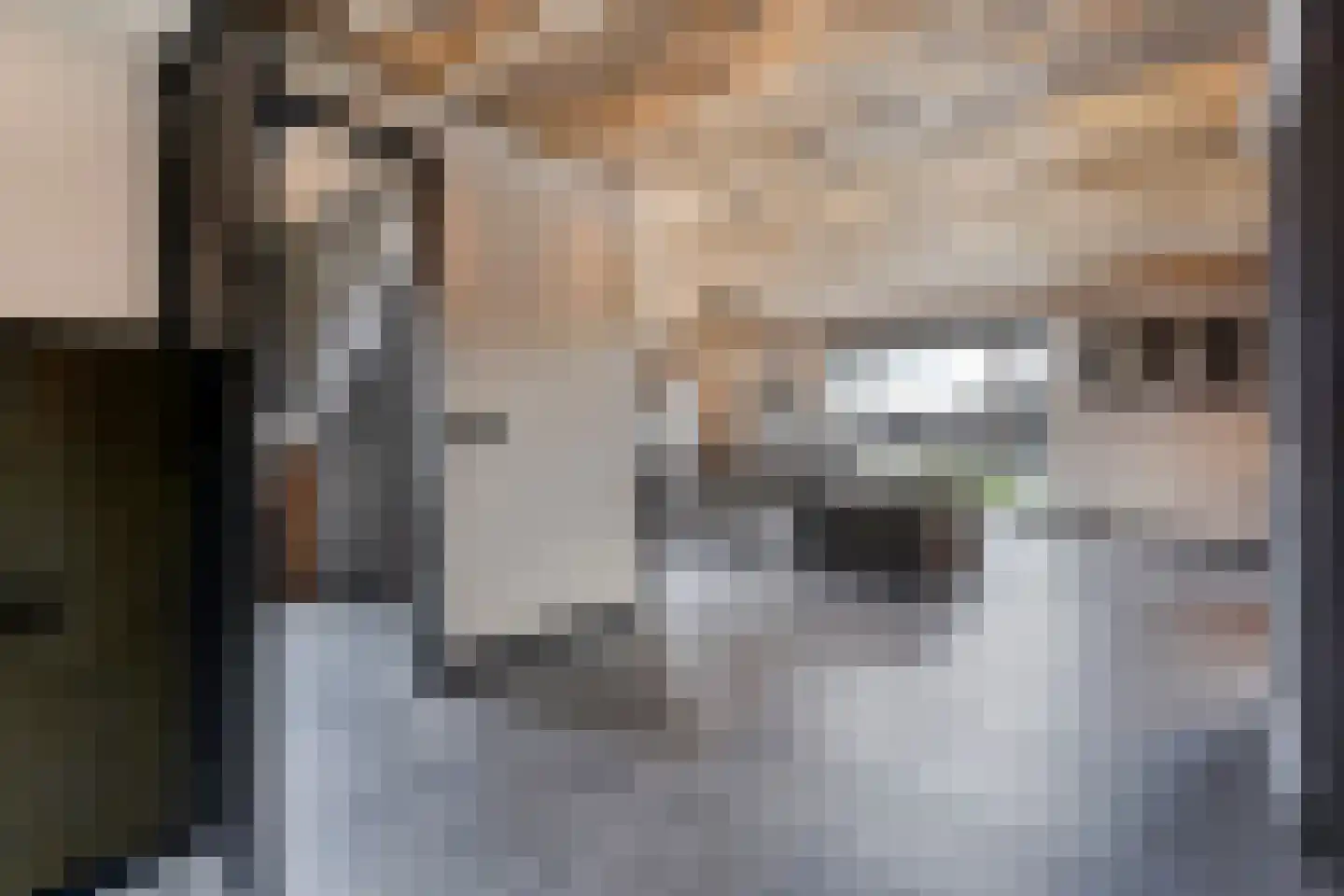 Lierweg 56 De Lier thumbnail 13