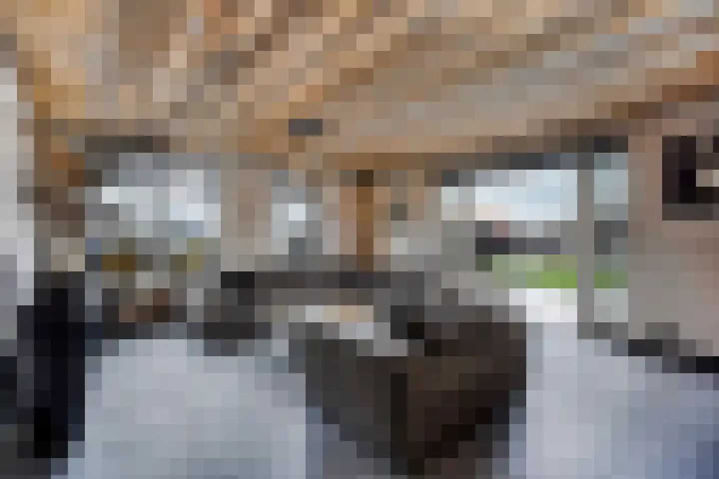 Lierweg 56 De Lier thumbnail 15