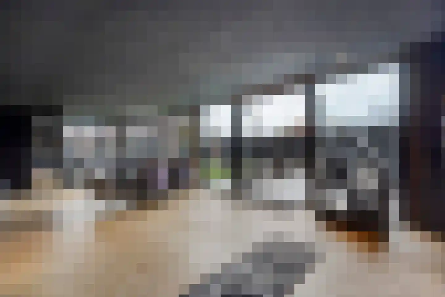 Lierweg 56 De Lier thumbnail 23