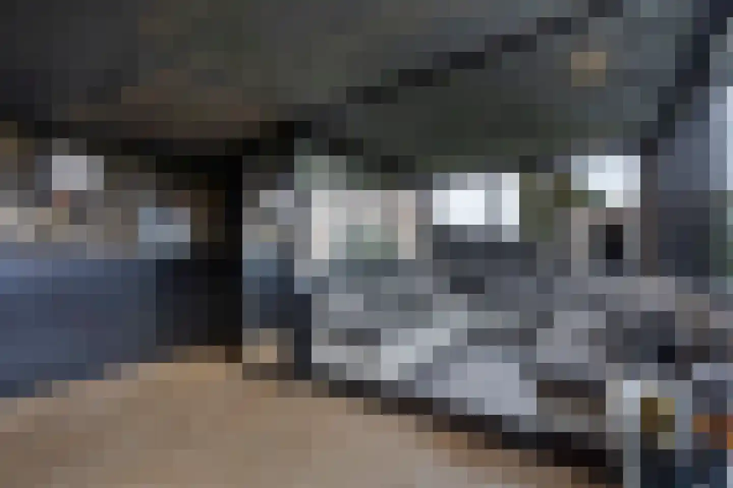 Lierweg 56 De Lier thumbnail 30