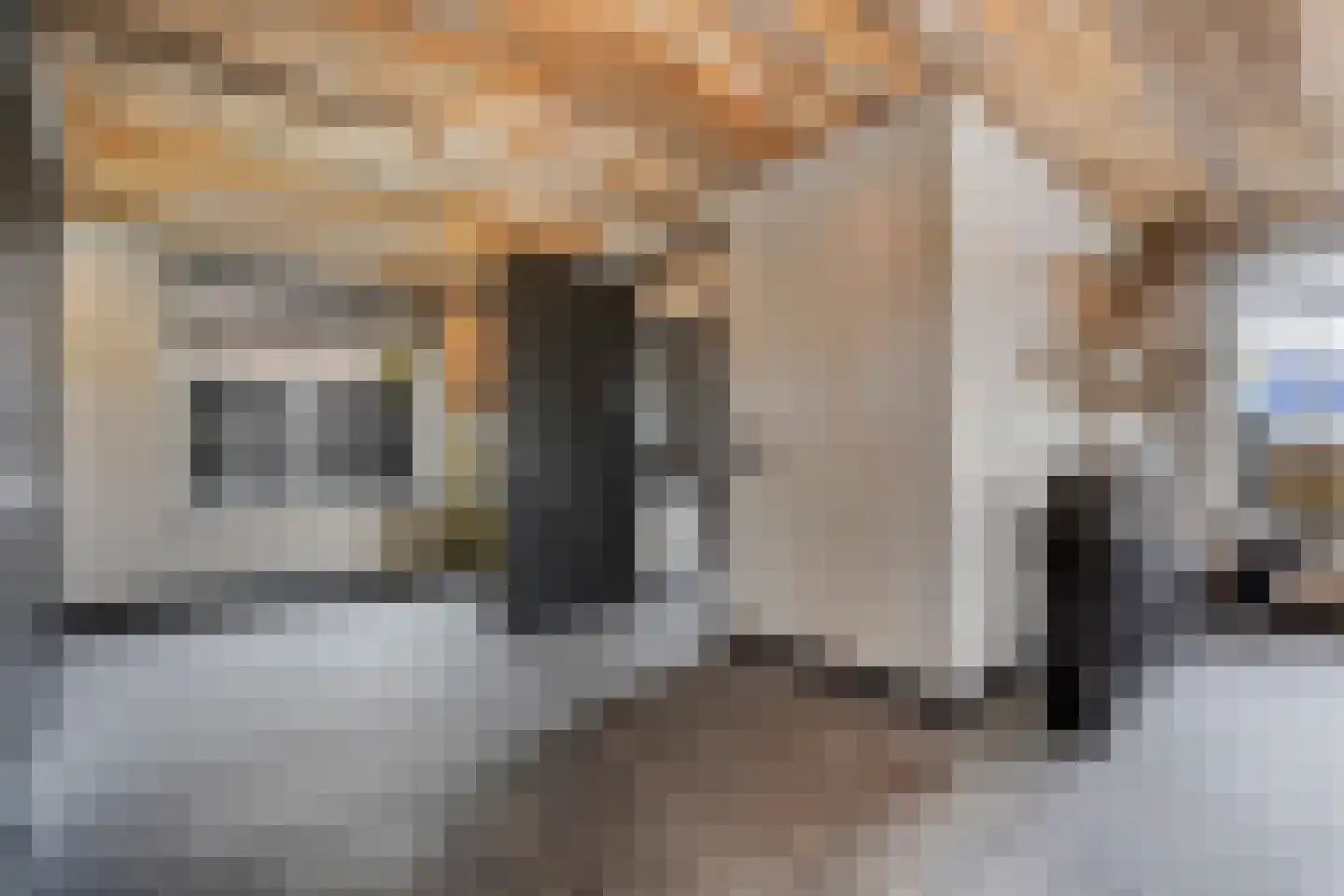 Lierweg 56 De Lier thumbnail 39