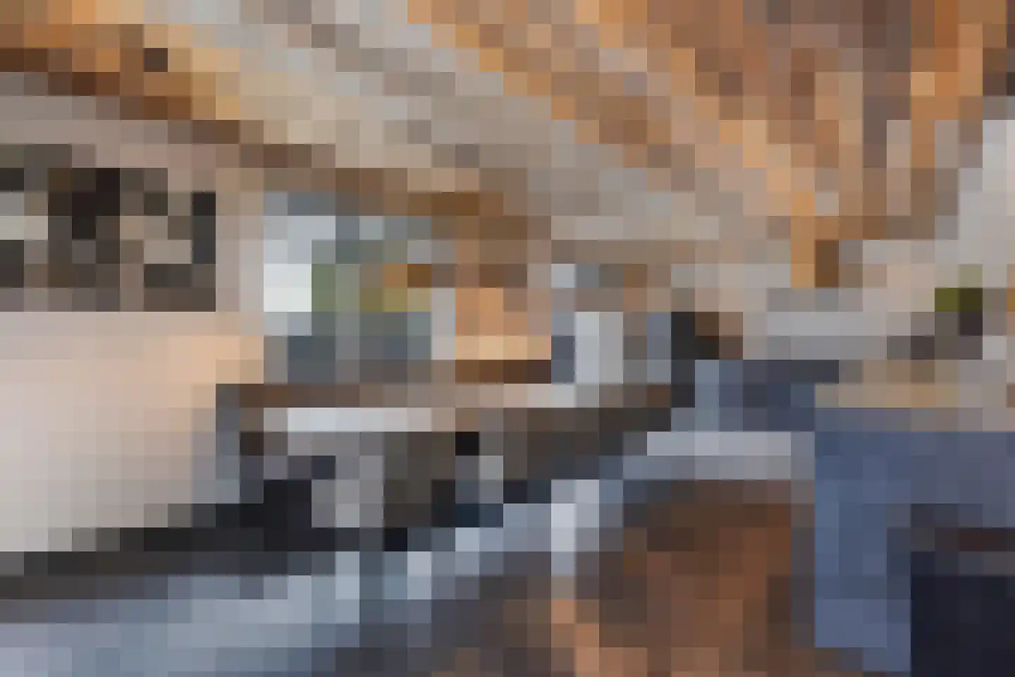 Lierweg 56 De Lier thumbnail 4