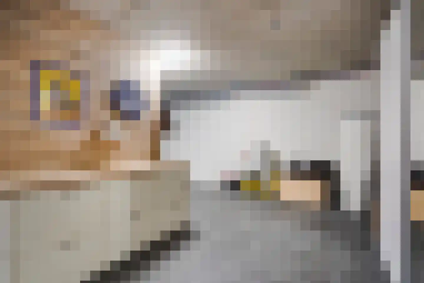 Lierweg 56 De Lier thumbnail 44