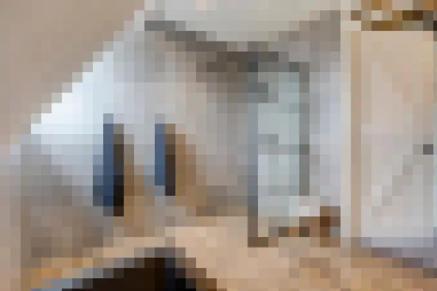 Lierweg 56 De Lier thumbnail 52