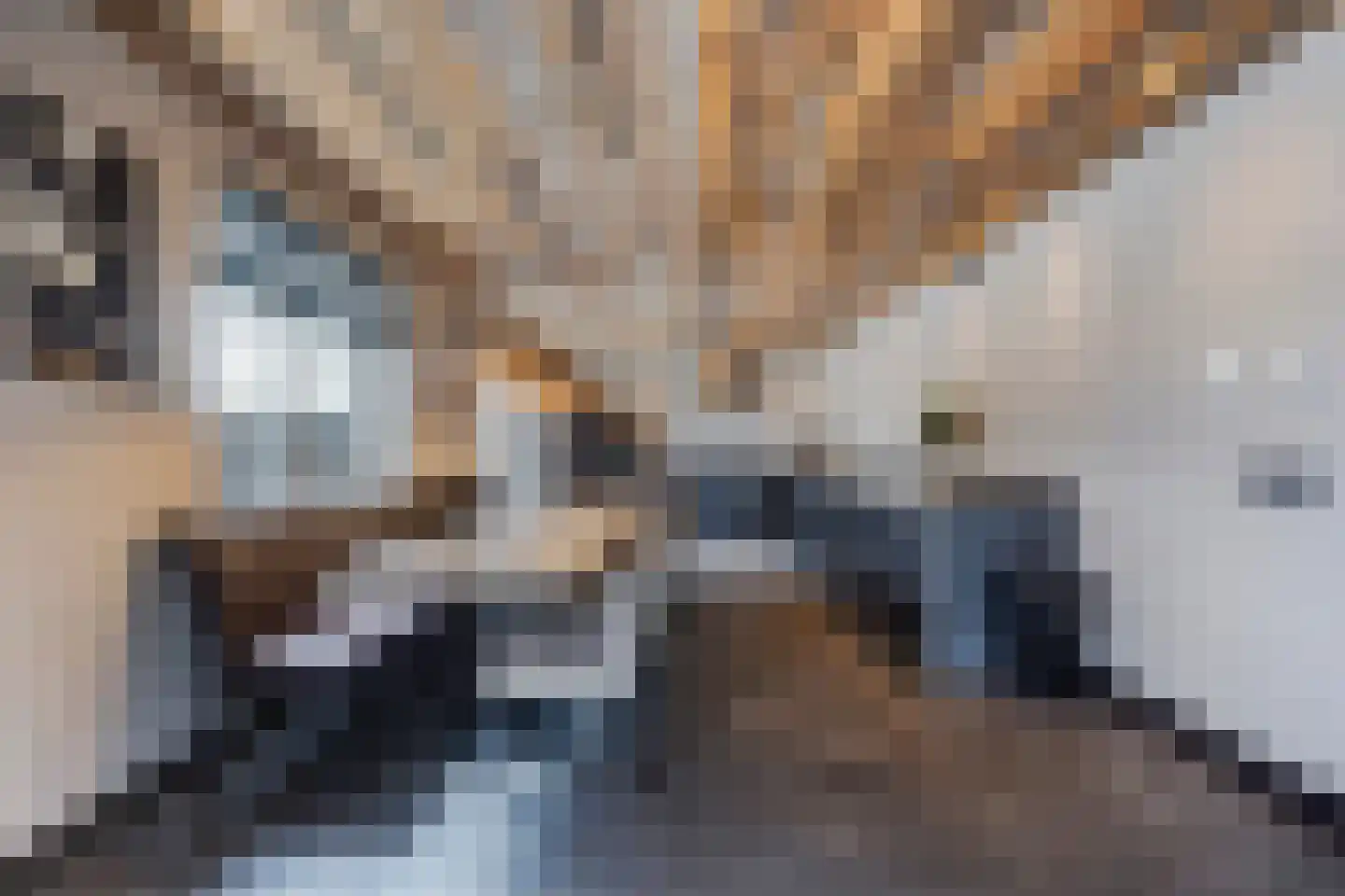 Lierweg 56 De Lier thumbnail 6