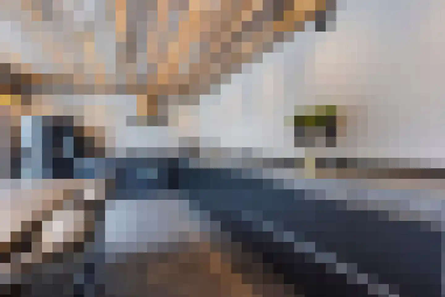 Lierweg 56 De Lier thumbnail 7