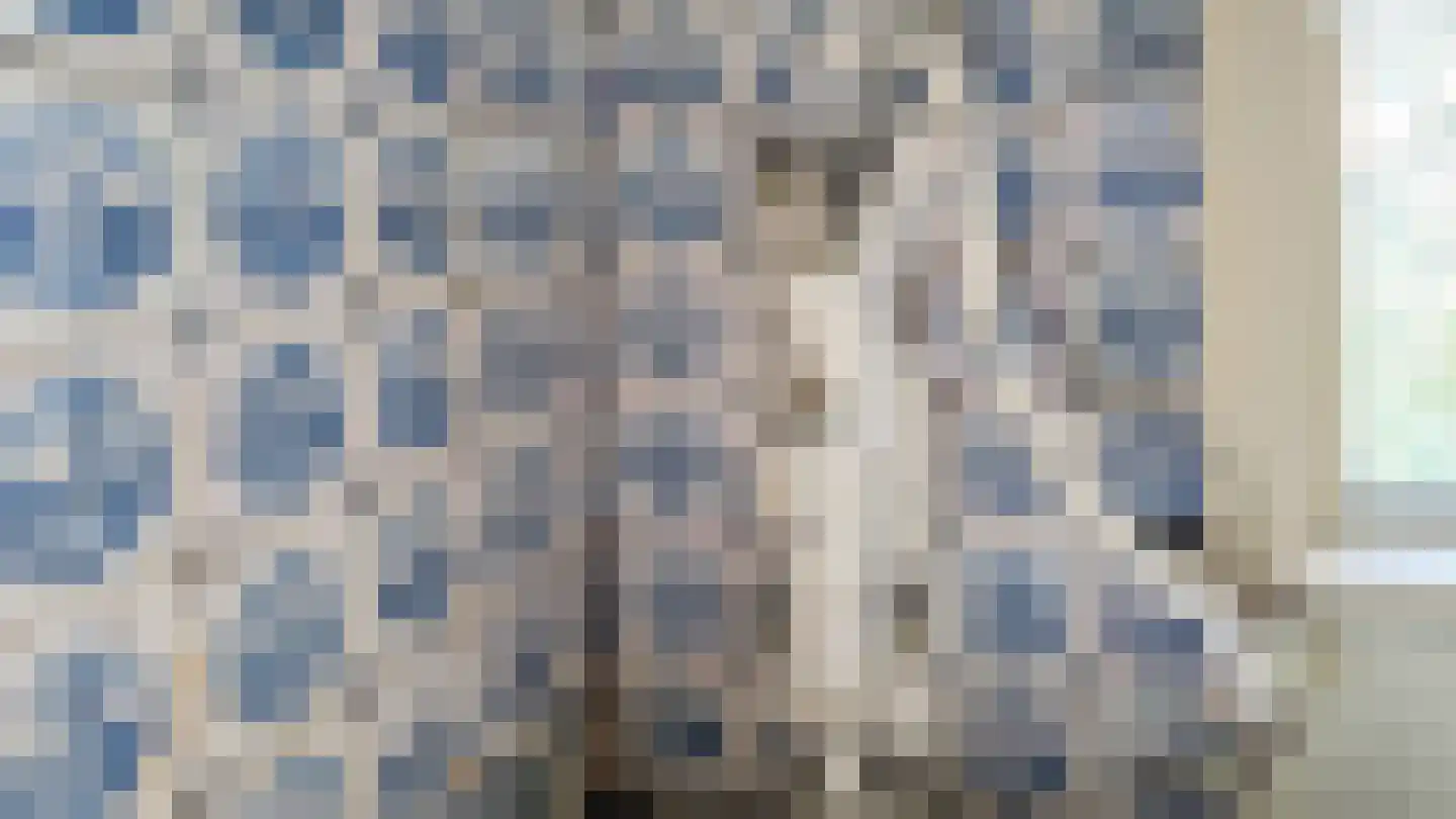 Lies 17 Lies thumbnail 21