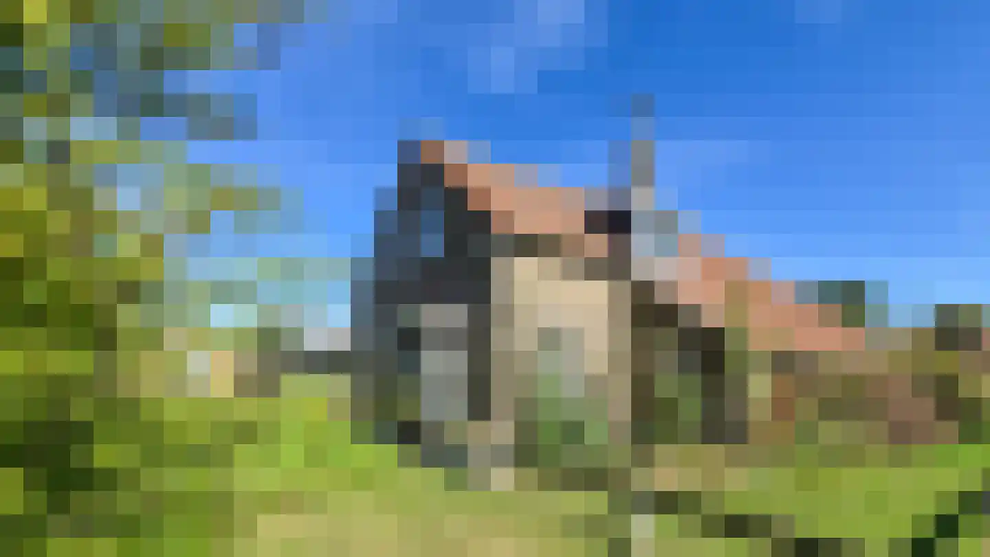 Lies 17 Lies thumbnail 29