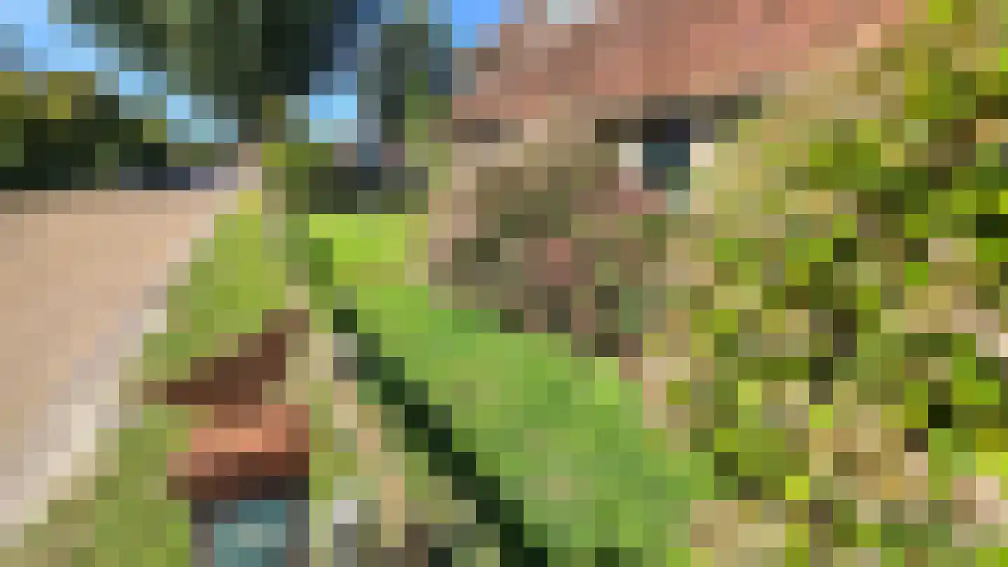 Lies 17 Lies thumbnail 31