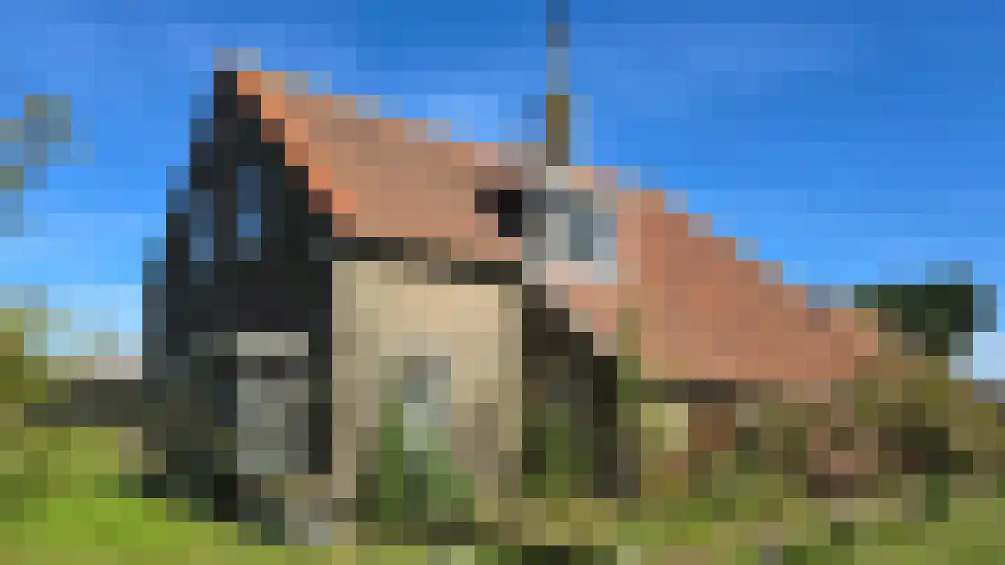 Lies 17 Lies thumbnail 5